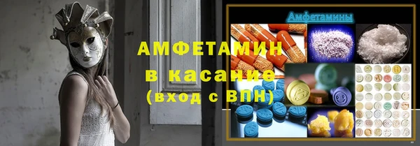 индика Аркадак