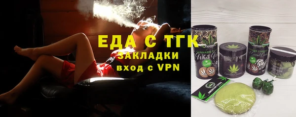 индика Аркадак