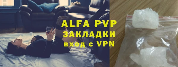 индика Аркадак