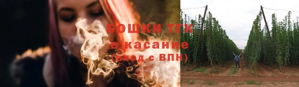 индика Аркадак