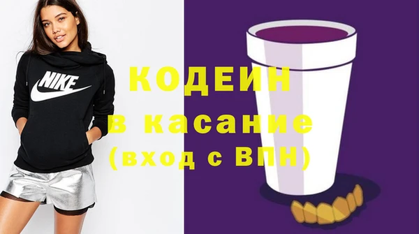 индика Аркадак