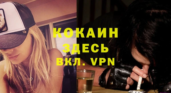 индика Аркадак