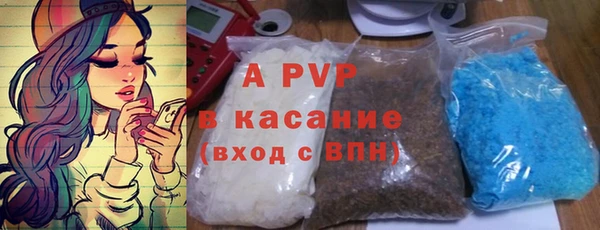 индика Аркадак