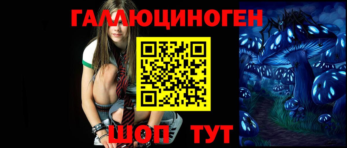 Сатка  Псилоцибиновые грибы Psilocybine cubensis  Вход с VPN  Галлюциногенные грибы прущие грибы 